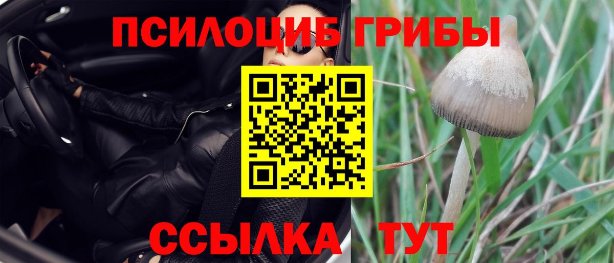Псилоцибиновые грибы мицелий Россошь